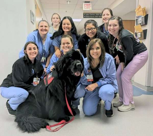 Meet the Newfies